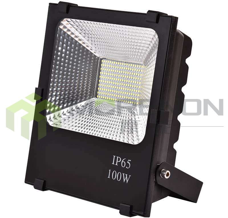 MN-TGDP1-100 Floodlight
