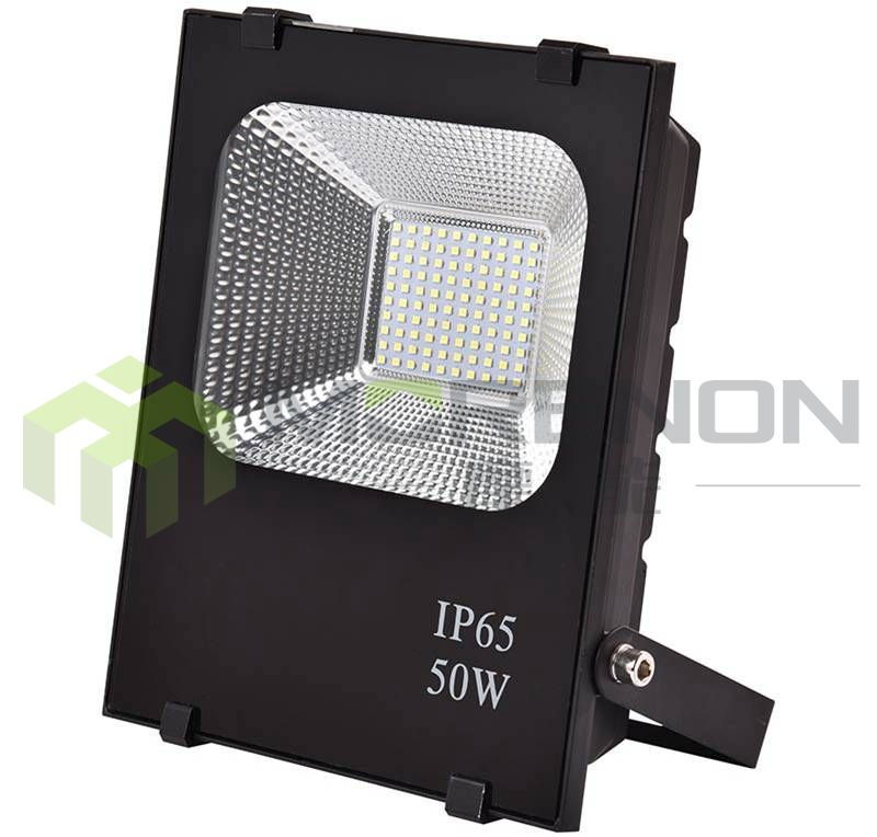 MN-TGDP1-50 Floodlight