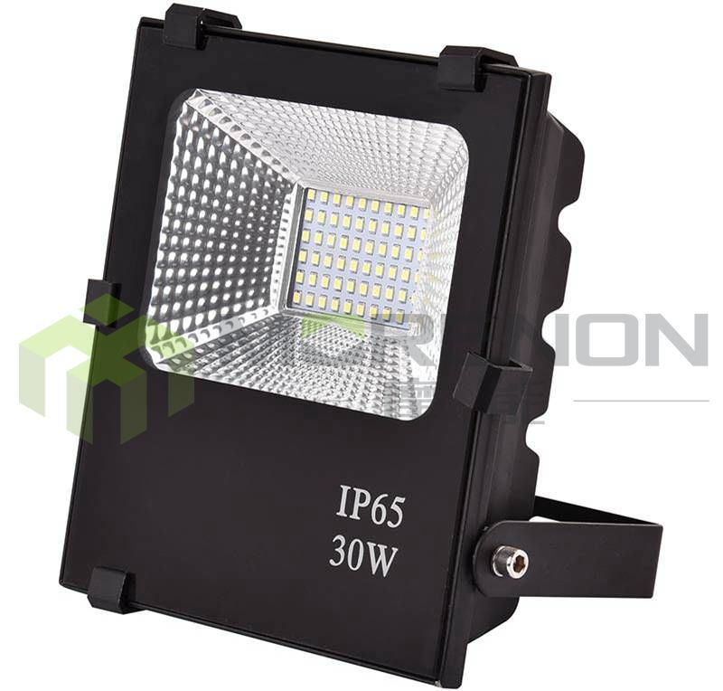 MN-TGDP1-30 Floodlight